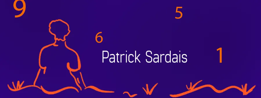 Patrick Sardais — réalisation Nity Pro