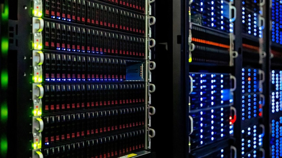 I-CAD : 2,9 millions d’animaux exposés, avec les noms de leurs propriétaires