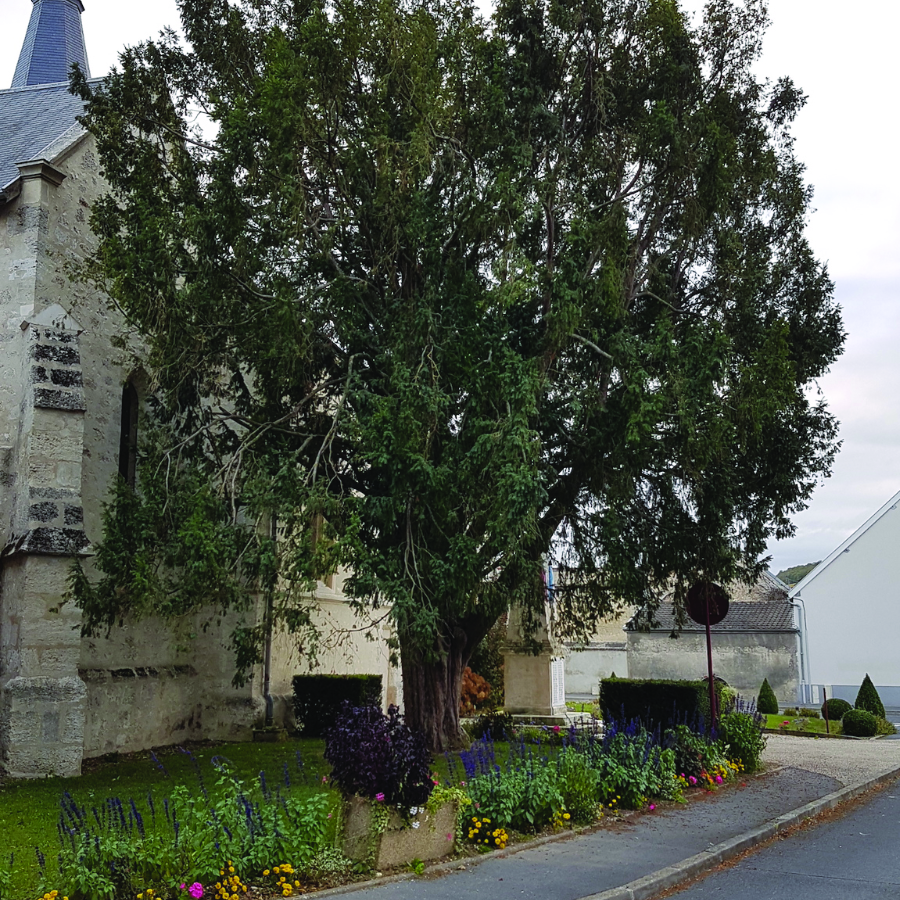 Créer site internet à Bergères-les-Vertus (Marne)