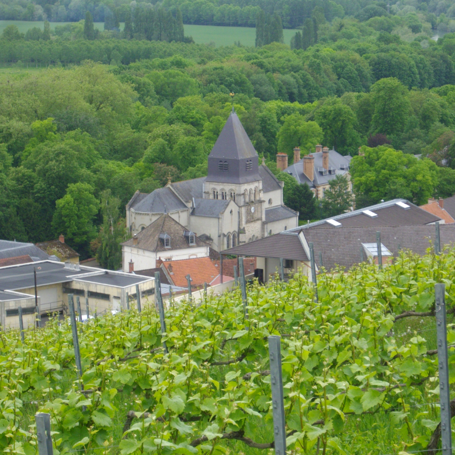 Créer site internet à Mareuil-sur-Ay (Marne)