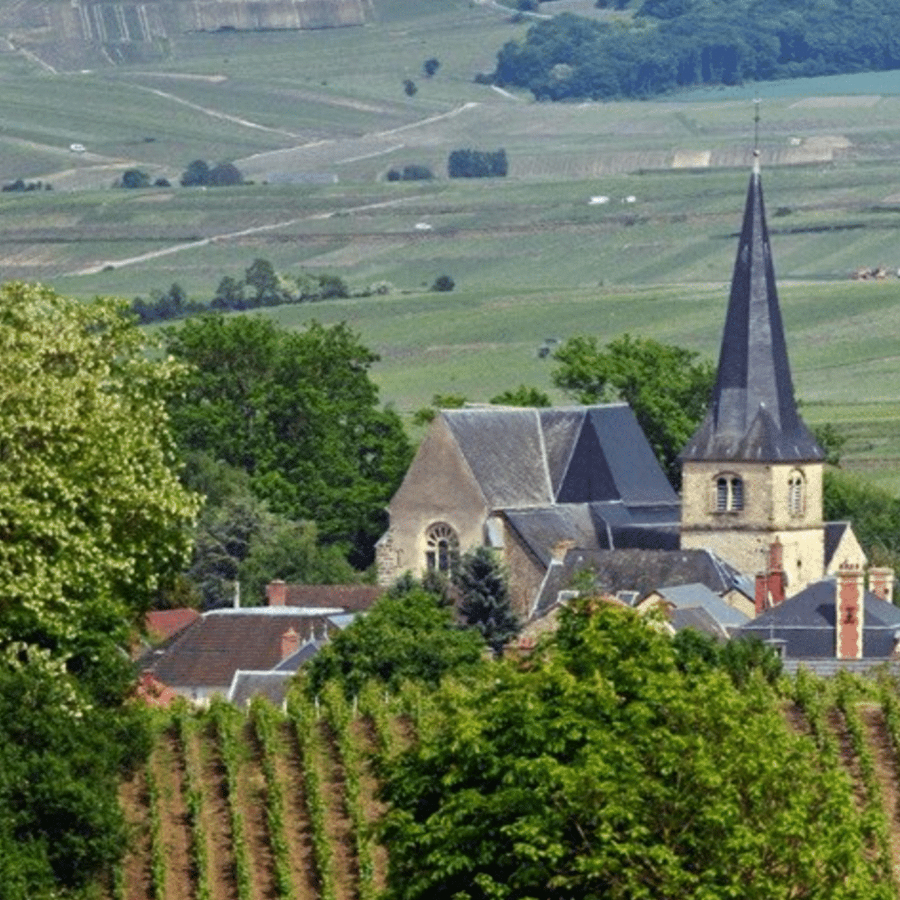 Créer site internet à Rilly-la-Montagne (Marne)